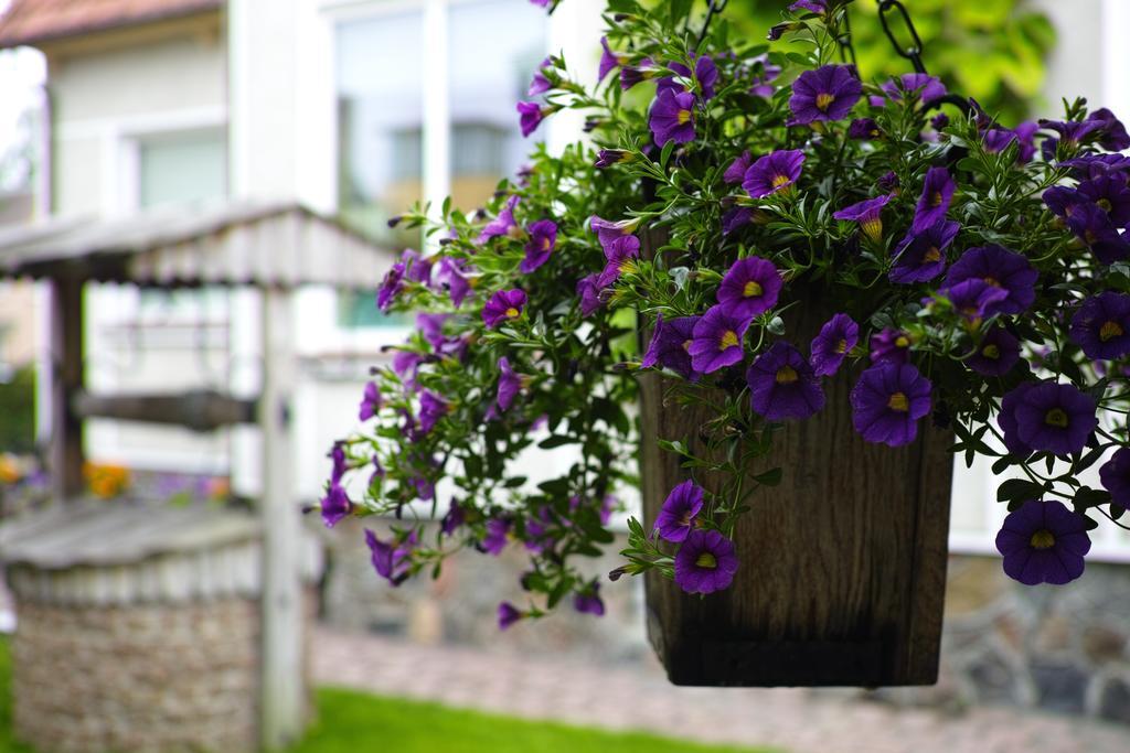 Adomo Rojus Apartment Palanga Luaran gambar